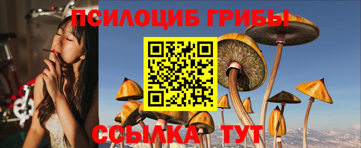 Псилоцибиновые грибы Psilocybine cubensis Сарапул